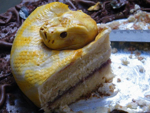 snake-cake-3