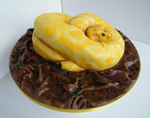 snake-cake1